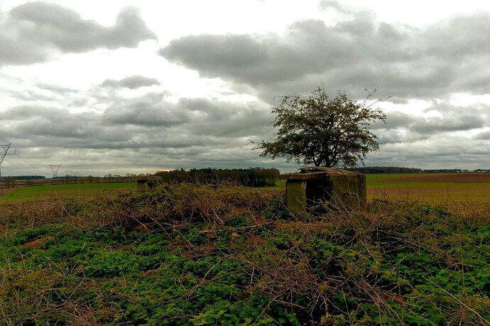 blyth_bunker