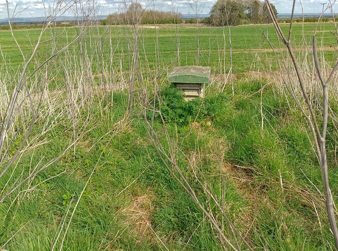 Kirby_hill_bunker (2)